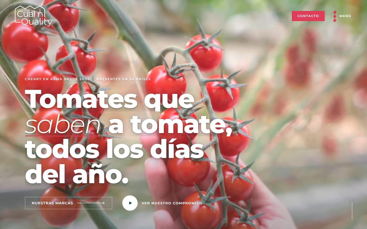 Portada de la web de Cualin Quality