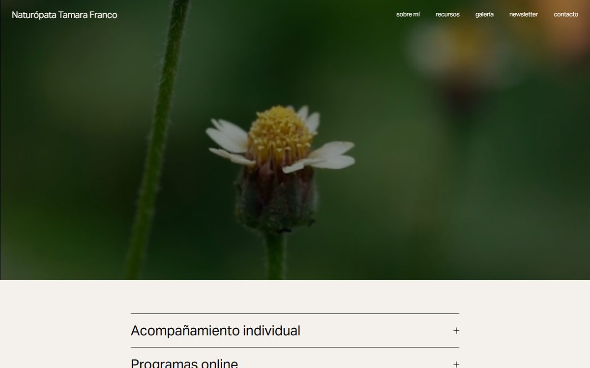 Portada de la web de Tamara Franco